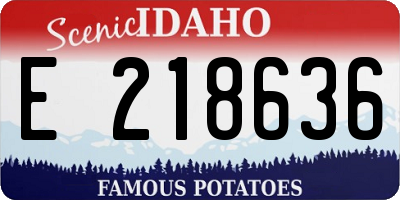 ID license plate E218636