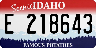 ID license plate E218643