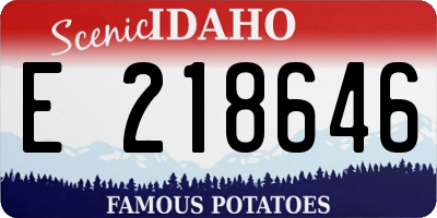 ID license plate E218646