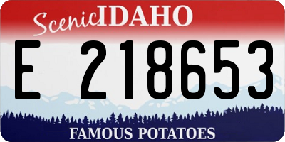 ID license plate E218653