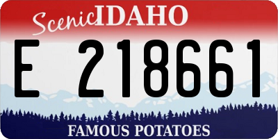 ID license plate E218661