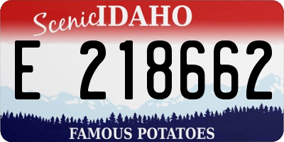 ID license plate E218662