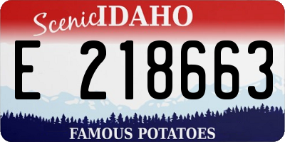 ID license plate E218663