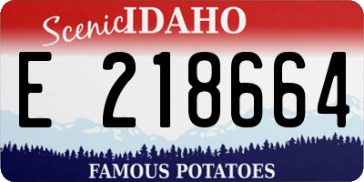 ID license plate E218664