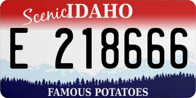 ID license plate E218666