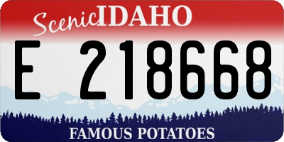 ID license plate E218668