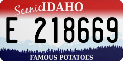 ID license plate E218669