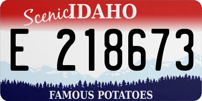 ID license plate E218673