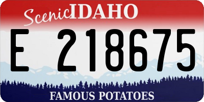 ID license plate E218675