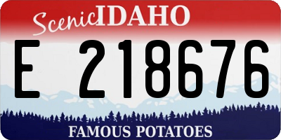 ID license plate E218676
