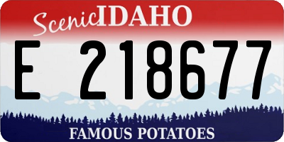 ID license plate E218677