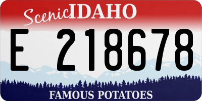 ID license plate E218678