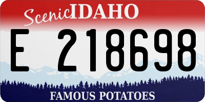 ID license plate E218698