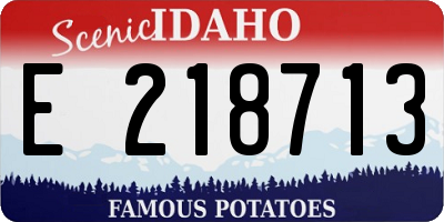 ID license plate E218713