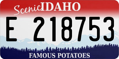 ID license plate E218753