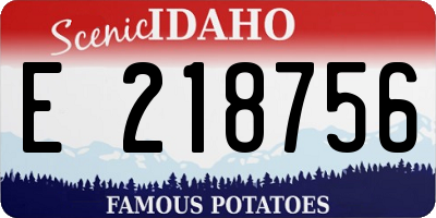 ID license plate E218756