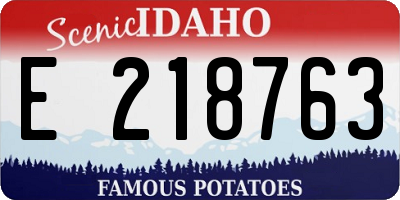 ID license plate E218763