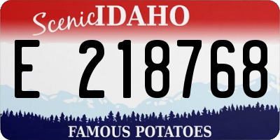 ID license plate E218768