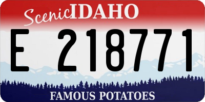 ID license plate E218771