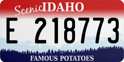 ID license plate E218773
