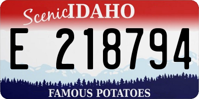 ID license plate E218794