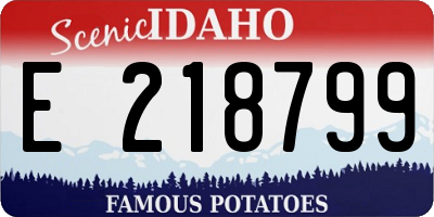 ID license plate E218799