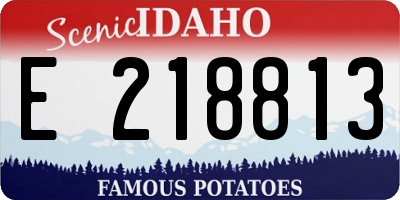 ID license plate E218813