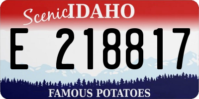 ID license plate E218817