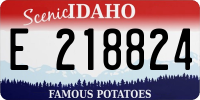 ID license plate E218824