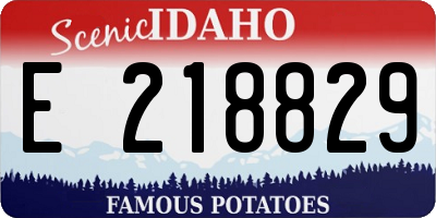 ID license plate E218829