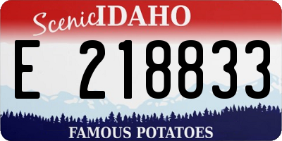 ID license plate E218833