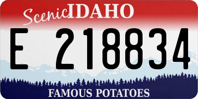 ID license plate E218834