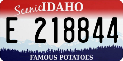 ID license plate E218844