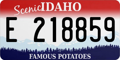 ID license plate E218859