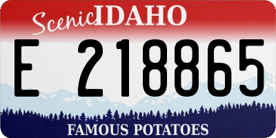 ID license plate E218865