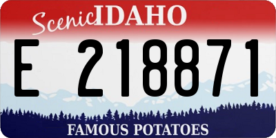ID license plate E218871