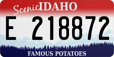 ID license plate E218872