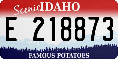 ID license plate E218873