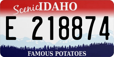 ID license plate E218874
