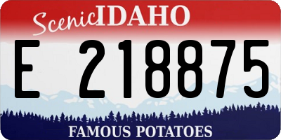 ID license plate E218875