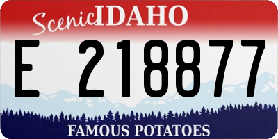 ID license plate E218877