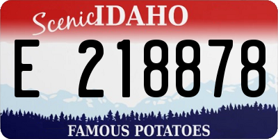 ID license plate E218878