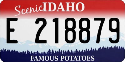 ID license plate E218879