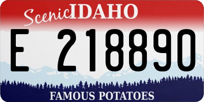 ID license plate E218890