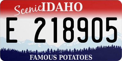 ID license plate E218905