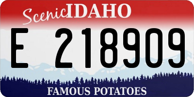 ID license plate E218909