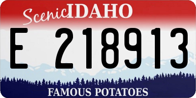 ID license plate E218913