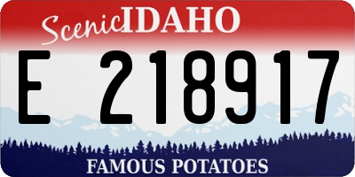 ID license plate E218917
