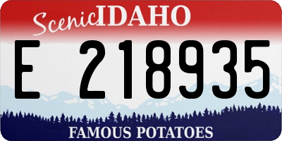 ID license plate E218935