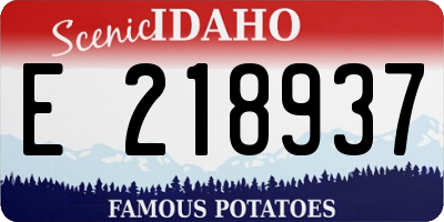 ID license plate E218937